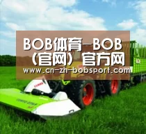 关于BOB体育