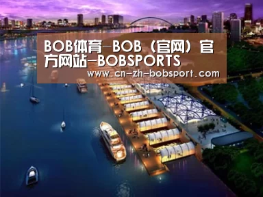 案例展示八