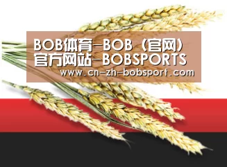 BOB体育-BOB（官网）官方网站-BOBSPORTS