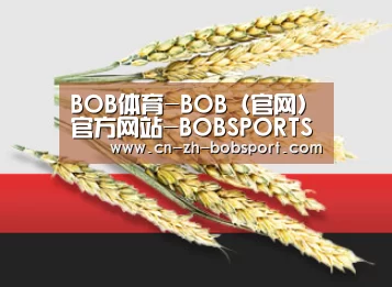 BOB体育-BOB（官网）官方网站-BOBSPORTS