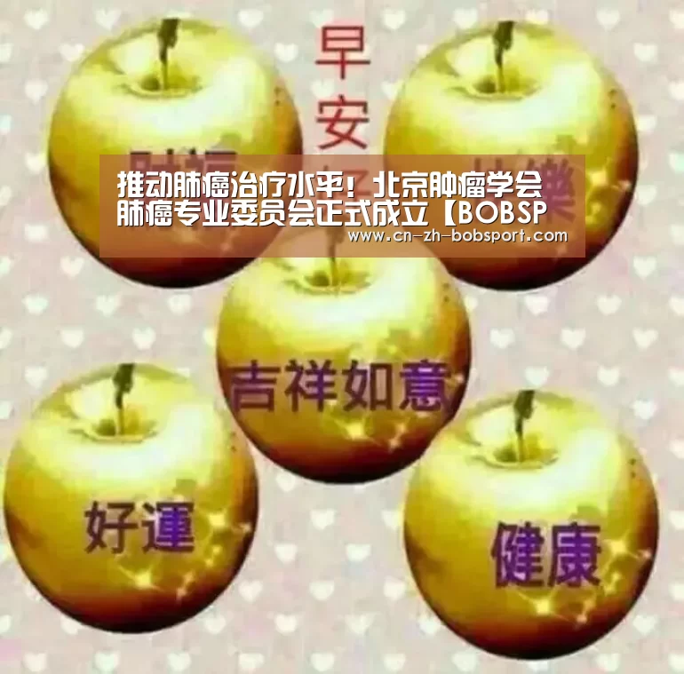 BOB（官网）官方网站