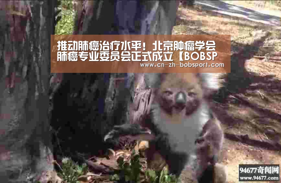 推动肺癌治疗水平！北京肿瘤学会肺癌专业委员会正式成立【BOBSPORTS】