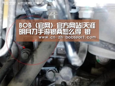 BOB体育