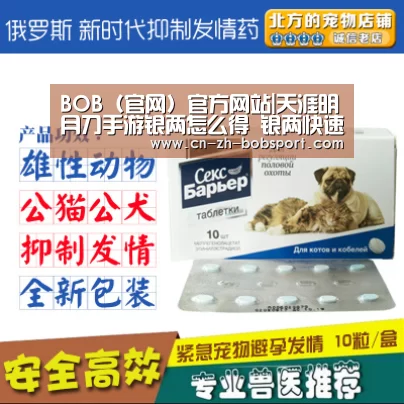 BOB体育