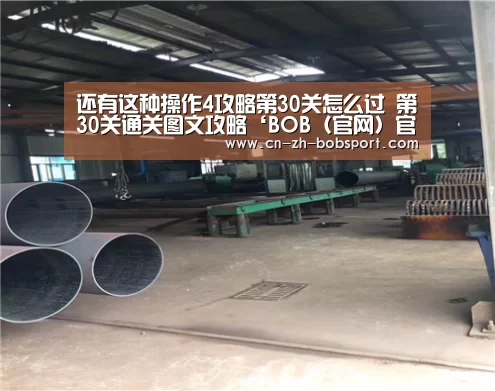 还有这种操作4攻略第30关怎么过 第30关通关图文攻略‘BOB(官网)官方网站’(图2) 还有这种操作4攻略第30关怎么过 第30关通关图文攻略‘BOB(官网)官方网站’(图2)