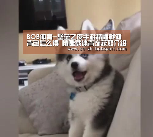 BOB（官网）官方网站