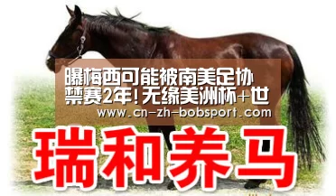 曝梅西可能被南美足协禁赛2年!无缘美洲杯+世预赛?_BOBSPORTS(图2) 曝梅西可能被南美足协禁赛2年!无缘美洲杯+世预赛?_BOBSPORTS(图2)